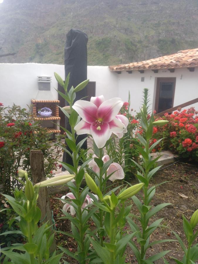 فيلا Casa La Plaza Agulo المظهر الخارجي الصورة